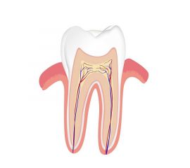 Эндодонтические материалы